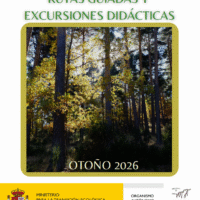 Programa de Rutas Guiadas y Excursiones Didácticas