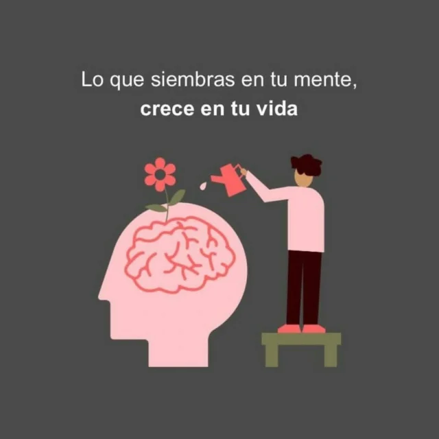 Pon atención a lo que cultivas en tu mente, porque tus pensamientos de hoy son las semillas de la realidad que vivirás mañana. 💫🌱
#pildoraemocional #BienestarJuvenil